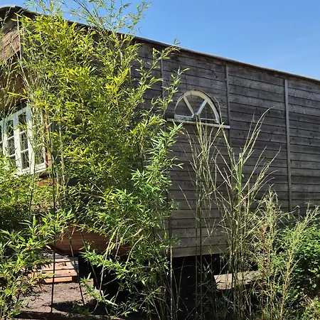 Tinyhouse Haus Evelynchen Deutschhof Apartment *